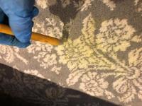 Steaming Sam Carpet Cleaning image 18